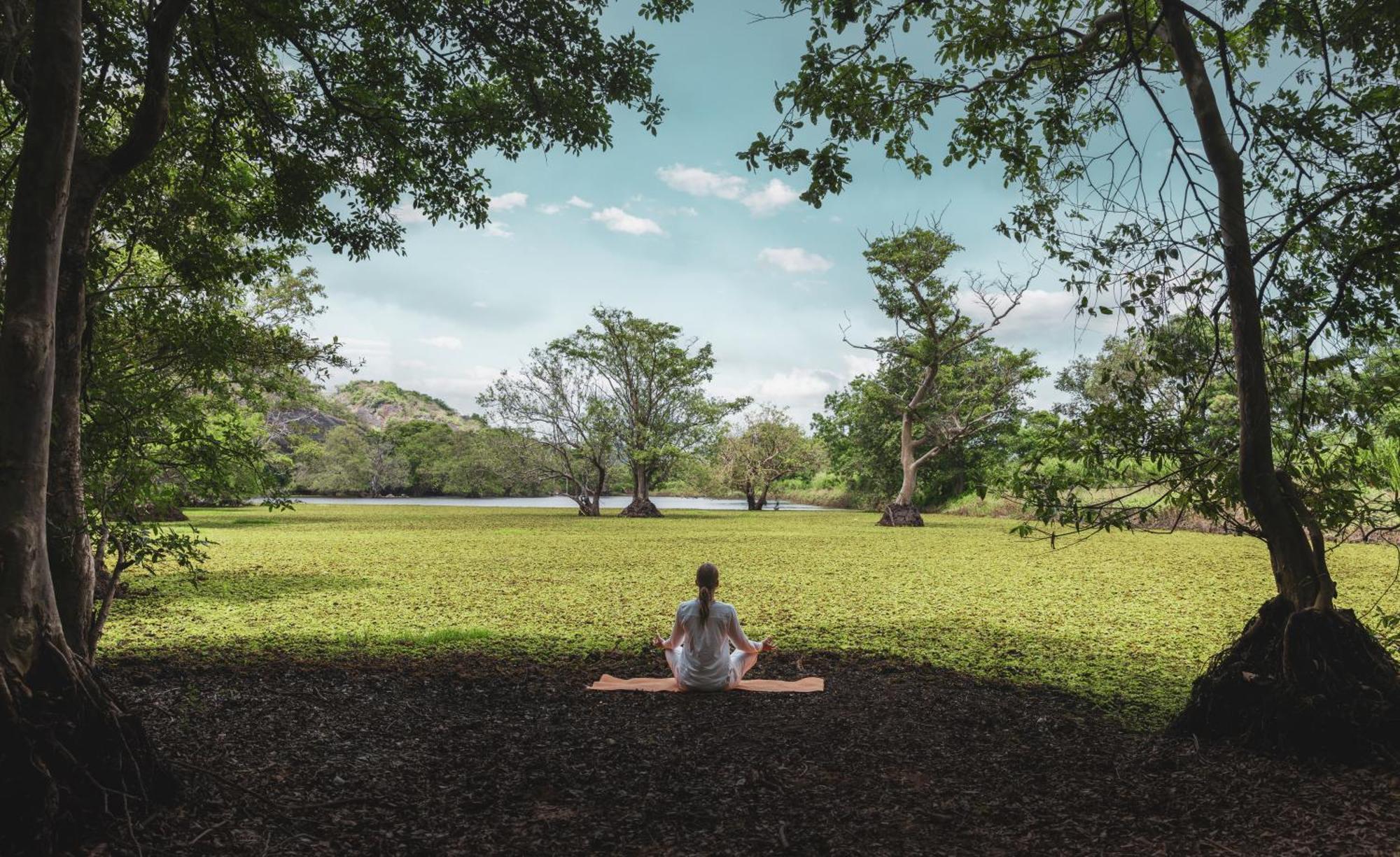 Ayugiri Ayurveda Wellness Resort Sigiriya Exterior foto